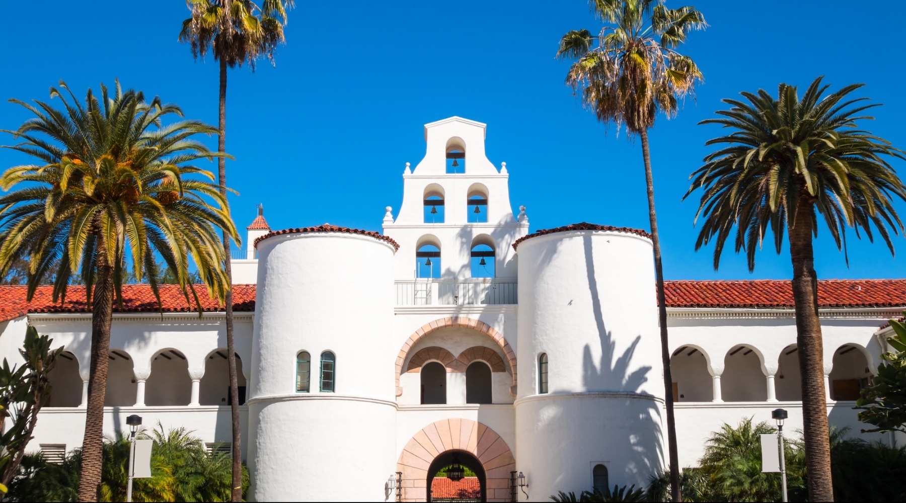 white building with palm trees
